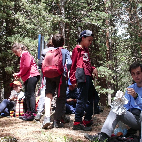 NIÑAS/OS DE 5º. NATURALEZA VIVA EN LA PEDRIZA. HOSTOS POR EL PLANETA 3