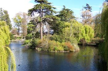 Lago, Parque Beacon Hill, Victoria