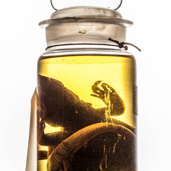 IES_SANISIDRO_MUSEO_BOTES_034