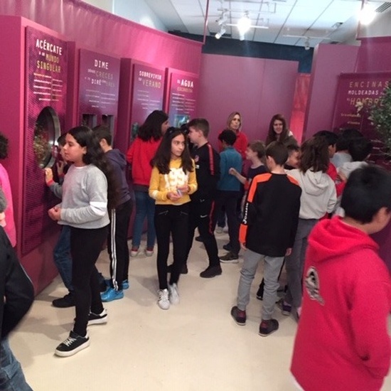 Centro de Interpretación de la Naturaleza. Montecarmelo. 6º curso. 6