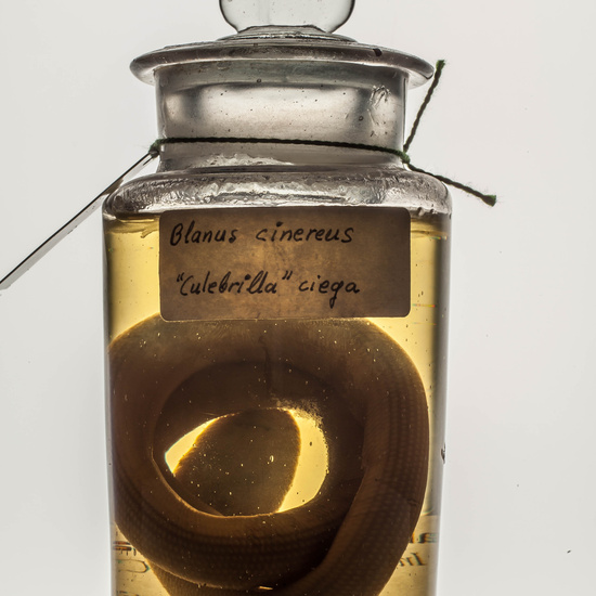 IES_CARDENALCISNEROS_CIENCIASNATURALES_232