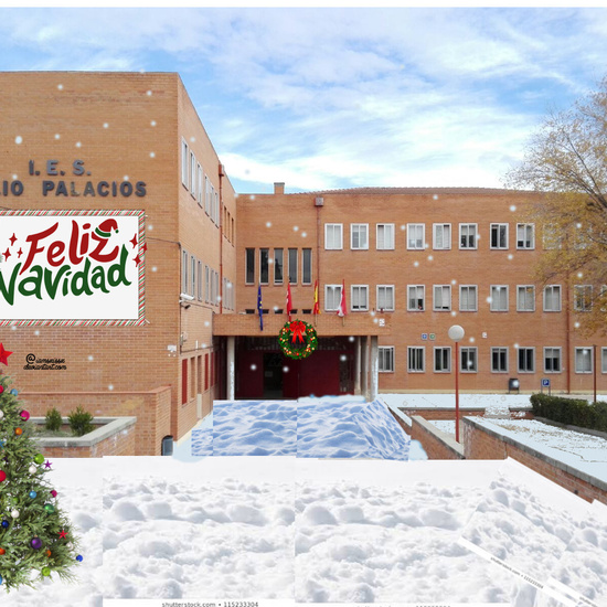 FELIZ NAVIDAD 2019 IES JULIO PALACIOS 13