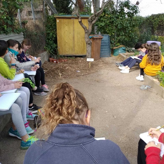 2019_02_24_Quinto termina febrero con las actividades de huerto_CEIP FDLR_Las Rozas_2019 11