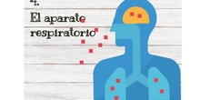 Tema 3-Aparato respiratorio