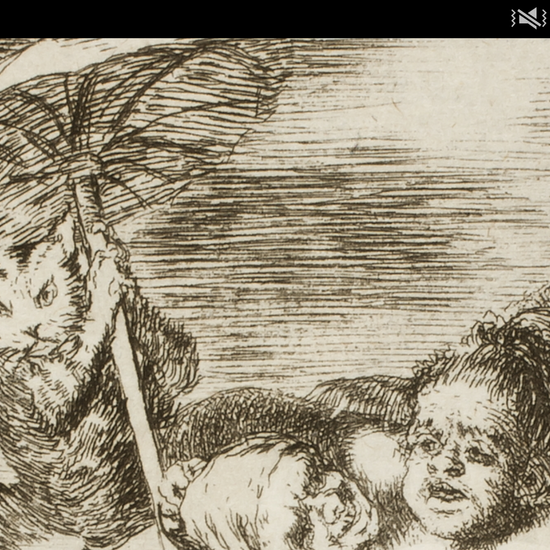 Los Caprichos en detalles apaisados 35