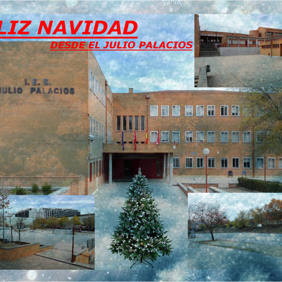 FELIZ NAVIDAD 2019 IES JULIO PALACIOS 14