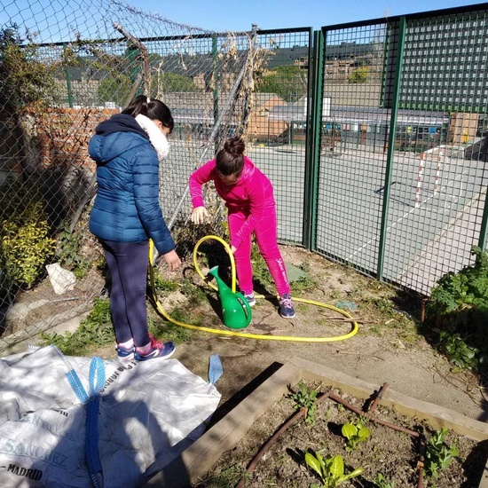 2019_02_24_Quinto termina febrero con las actividades de huerto_CEIP FDLR_Las Rozas_2019 10