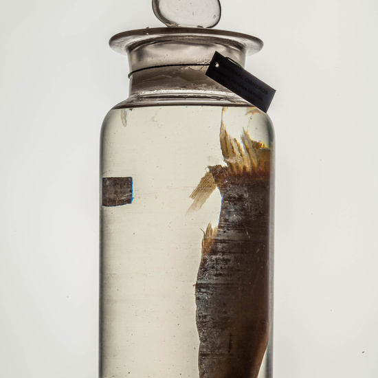 IES_CARDENALCISNEROS_CIENCIASNATURALES_097