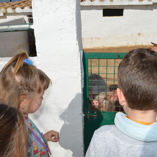 GRANJA ESCUELA ALBITANA 45