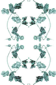 Simetría de la rama de lúpulo en azules fríos