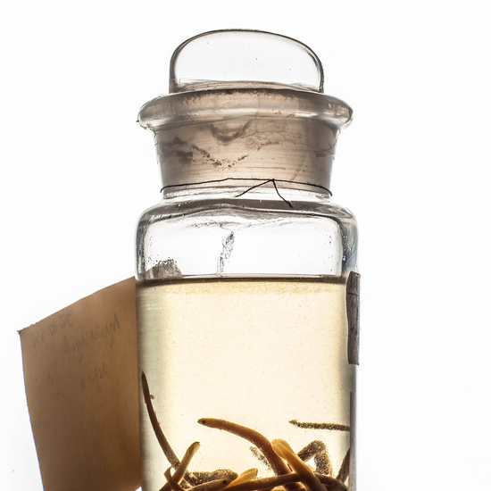 IES_SANISIDRO_MUSEO_BOTES_038