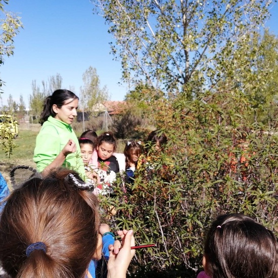 Salida Bosque Sur.3º de Primaria. Octubre 2019 19