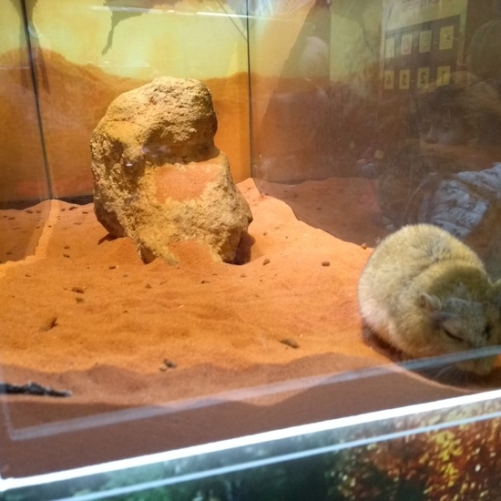 Granja de los Cuentos Infantiles II 5