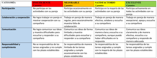 Rúbrica Trabajo en parejas