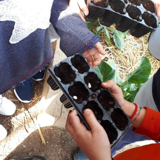 2020_02_13_4º planta en el huerto_CEIP FDLR_Las Rozas 12