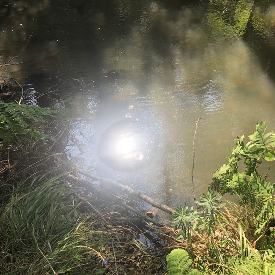 Sequía y vegetación 