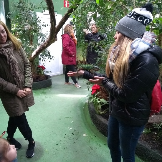 Granja de los Cuentos Infantiles I 27