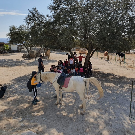 NOCHE MÁGICA 2019 (2ª parte) 13