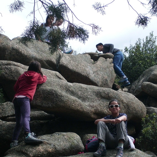 NIÑAS/OS DE 5º NATURALEZA VIVA EN LA PEDRIZA. HOSTOS POR EL PLANETA 2