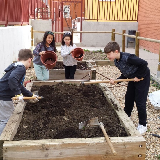 TRABAJANDO EN EL HUERTO 7