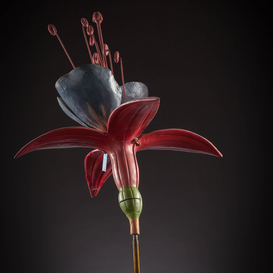 IES_CARDENALCISNEROS_BOTANICA_III_MODELOS_048