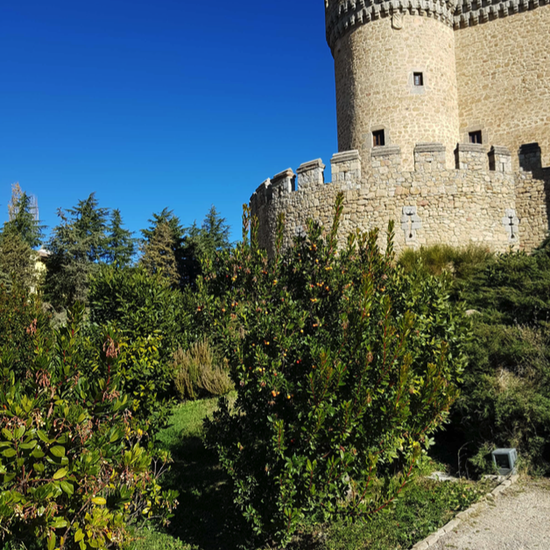 La Pedriza. 3º ESO. 2017-2018. 41