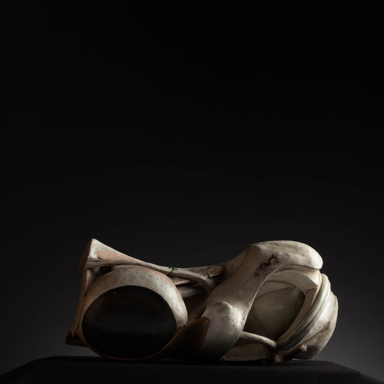 IES_CARDENALCISNEROS_ANATOMIA_MODELOS_122