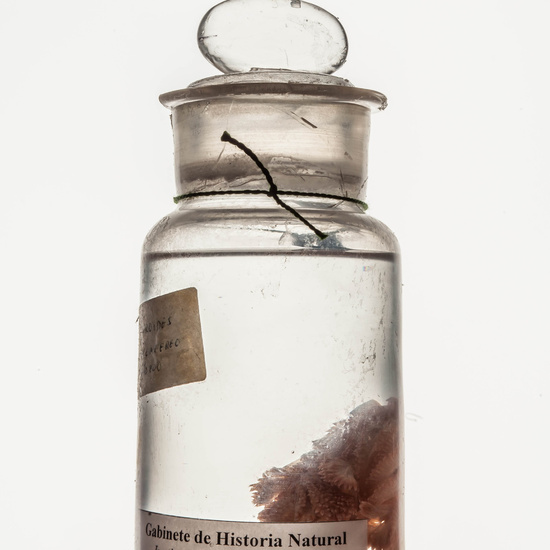 IES_CARDENALCISNEROS_CIENCIASNATURALES_046