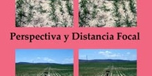 Perspectiva y Distancia Focal