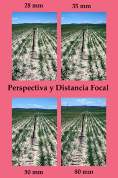 Perspectiva y Distancia Focal