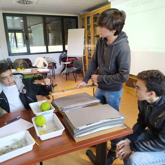 Instituto Nacional de Investigación y Tecnología Agraria 2019 (4ºESO) 11