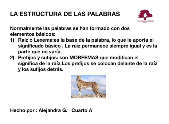LA ESTRUCTURA DE LAS PALABRAS 