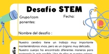 Prueba STEM cuerpo humano