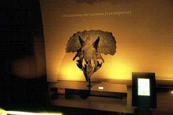 Ceratópsido (Dinosaurio con cuernos), Museo del Jurásico de Astu