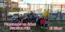 28049407 PLANTAMOS UN CIRUELO #SOSOLVER INFANTIL 5 AÑOS