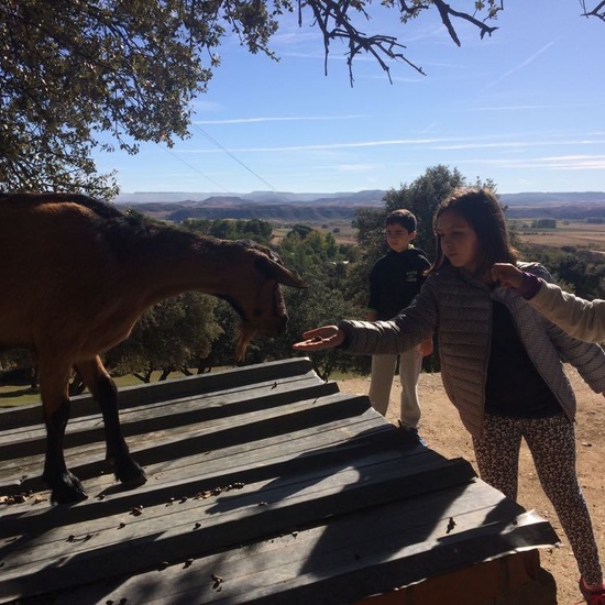 Mohernando 2017_3 36