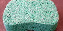 Esponja