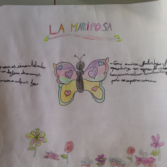 Exposición Toro, Mariposa y Oso Panda 8