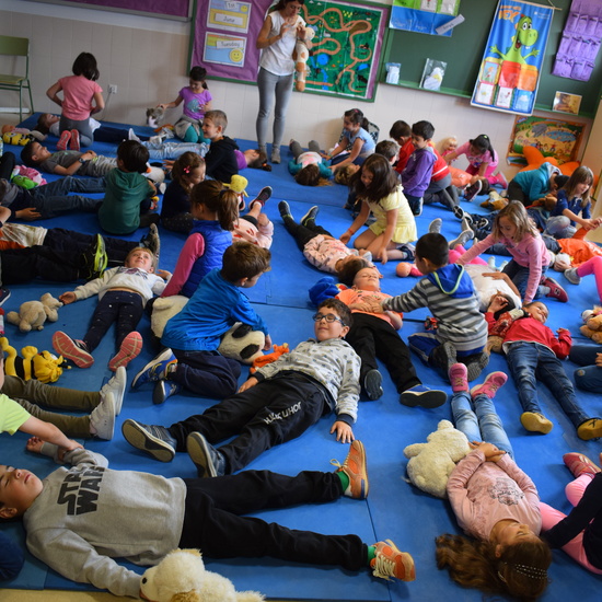 Primeros Auxilios 1 2018 50