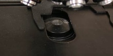 Fuente de luz de un microscopio