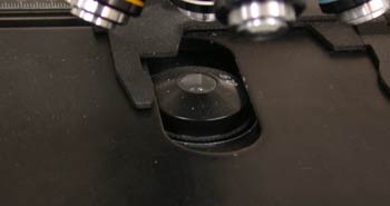 Fuente de luz de un microscopio