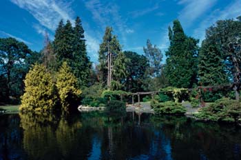 Laguna en Victoria, Canadá