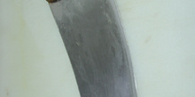 Cuchillo cortador de pescado