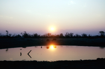 Reflejo sobre laguna al atardecer, Botswana