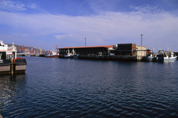 Muelles de descarga del puerto pesquero de Gijón, Principado de