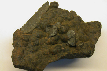 Psilomelana (Alemania)