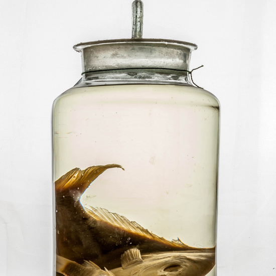 IES_CARDENALCISNEROS_CIENCIASNATURALES_345