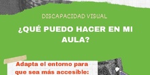discapacidad visual, respuesta educativa