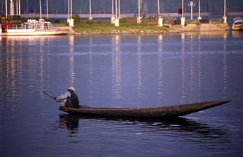 Barquero en el lago Dal de Srinagar, Jammu y Cachemira, India