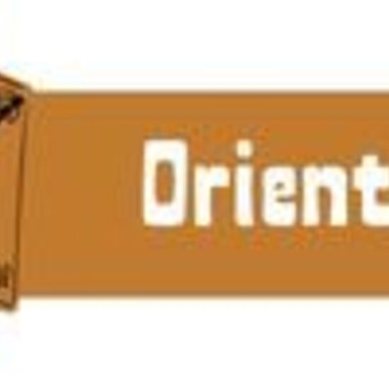 LogoOrienta